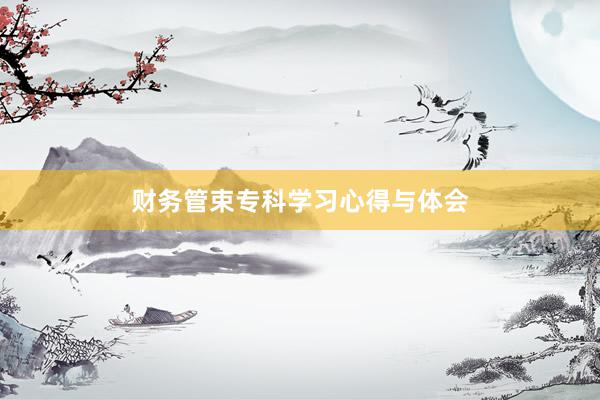 财务管束专科学习心得与体会